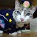 Avatar of kim.jundong.7080@gmail.com