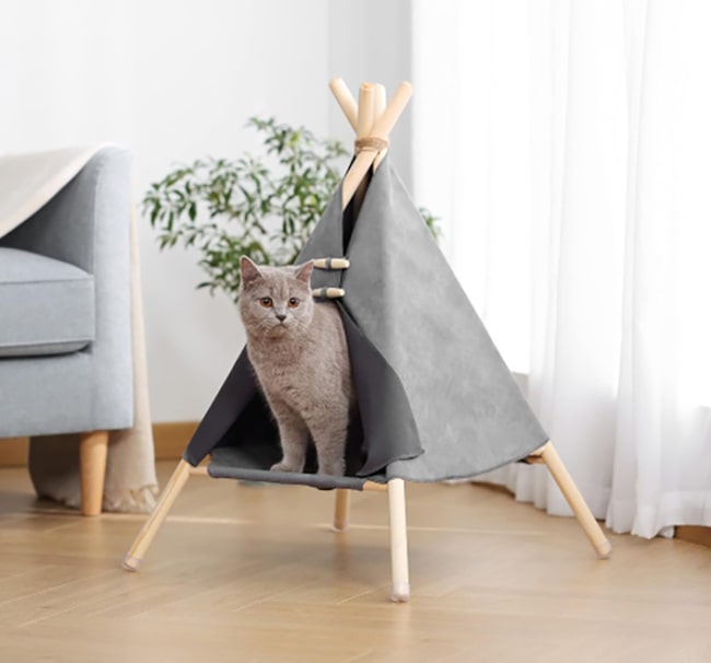 Home Marketplace2 40 hotspot-carusel-cat-tent-opt-opt